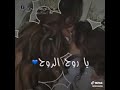 Ш Щ ШЄЩЉ Щ Щ ШЁЩЉ ШЈЩ Щ ШЇЩ Щ вќ Ш Щ ШЄЩЉ Щ Щ ШЁЩЉ ШЈЩ Щ ШЇЩ Щ вќ