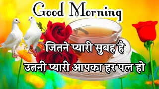 Good morning Shayari 🌹 good morning status video 🌹 good morning wishes for friends 🌹 wallpaper screenshot 2