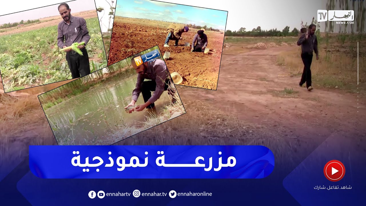 الجلفة: ساعد.. نموذج ناجح لمستثمر حوّل أراضي صخرية قاحلة لجنة خضراء