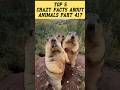 Crazy Facts About Animals | Part 41 | Amazing Facts | Mind Blowing Facts #Shorts