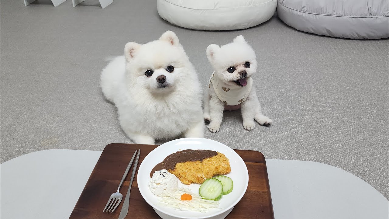 Я сделала отбивные для собак!