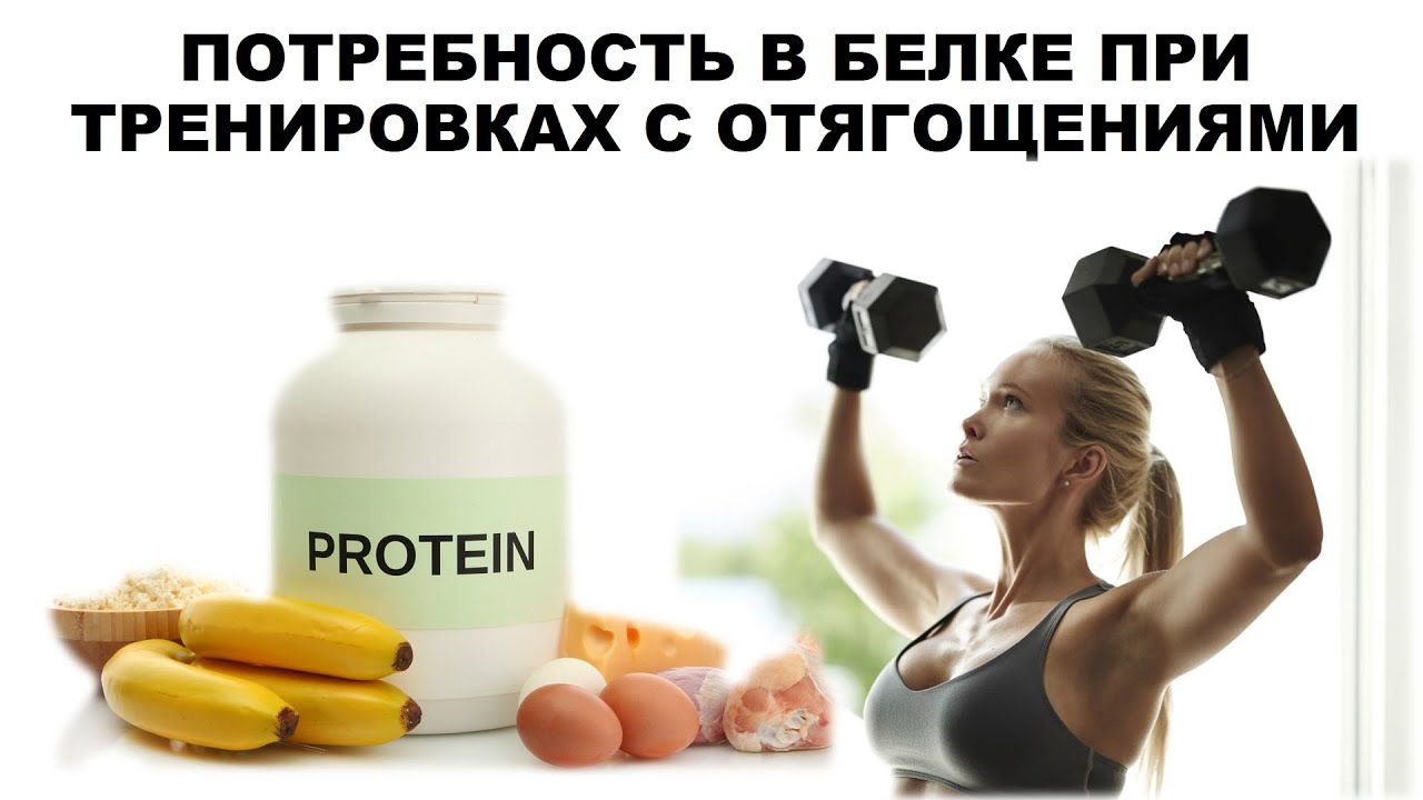 суточная потребность человека в белке