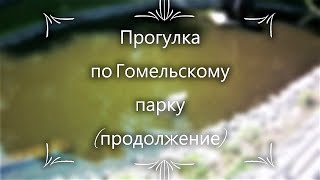 Прогулка по Гомельскому парку (продолжение)