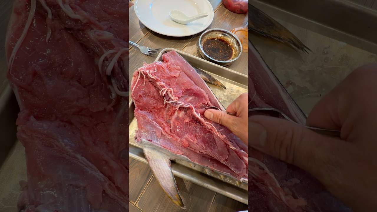 Stop WASTING Bluefin Tuna