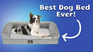 Best Orthopedic Dog Bed! 🛏️ (Perfect for Large Dogs!) Best Orthopedic Dog Bed! 🛏️ (Perfect for Large Dogs!)