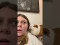مستحيل ما تضحك فيديوهات مضحكة 2026 ضحك2026 مقاطع مضحكة حاول ما تضحك كوميديا ضحك مواقف مضحكة