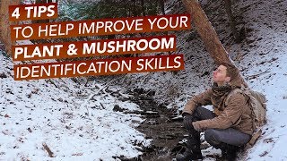 4 Tips To Help Improve Your Plant & Mushroom Identification Skills