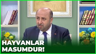 Ömer Döngeloğlu Hayvan Hakları Konuşması - 9 Nisan 2021 | Ramazan Sohbetleri Resimi