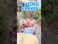 A Hideg Elképesztő Hatásai
