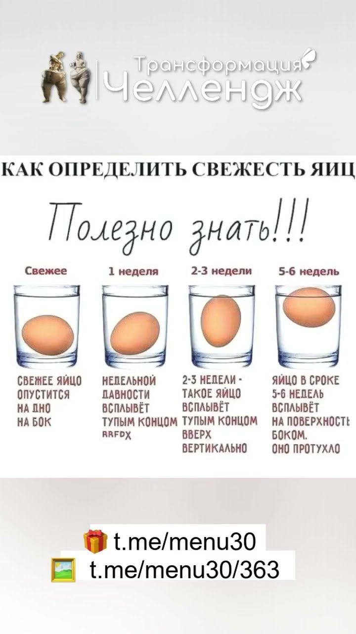 как определить, сыты ли яйца