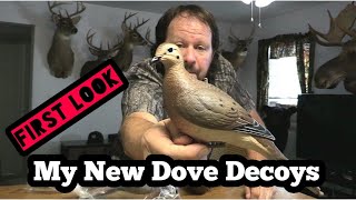 My New Dove Decoys, First Look