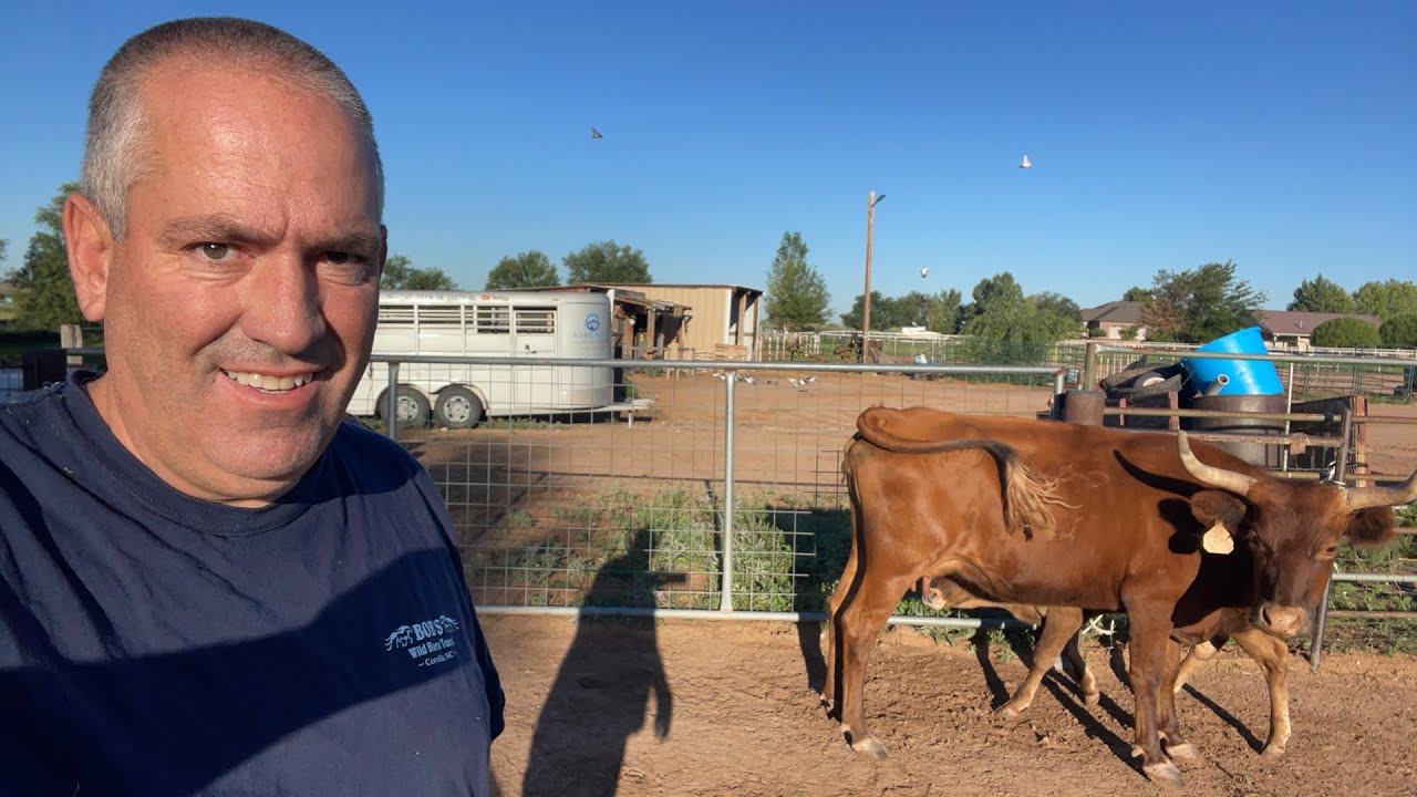 WHAT KIND OF COWS DO WE RAISE? 