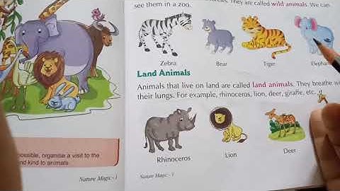 1st class, E.V.S. , chapter 13, Animal around us