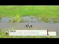 Oduu Guyyaa OBN Bit 26 2011 Oduu Guyyaa OBN Bit 26 2011
