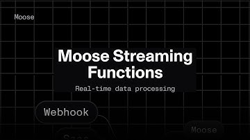 Moose Streaming Functions: Real-time data processing, simplified