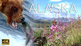 Alaska | Best Places and Wildlife