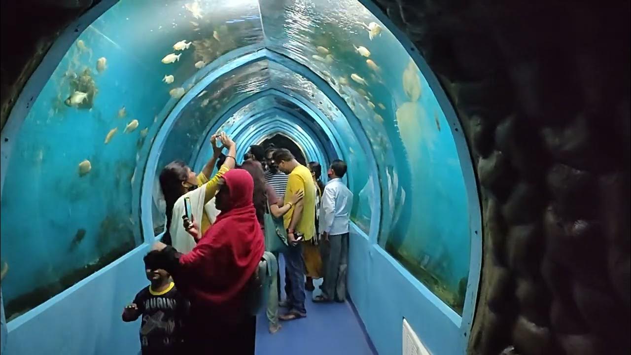 Aqua World Underwater Aquarium Mysore, Karnataka Underwater Aquarium