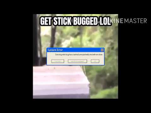 dancing stick bug.exe has crashed unexpectedly