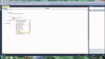 Visual Basic (VB) Tutorial 4: Loops