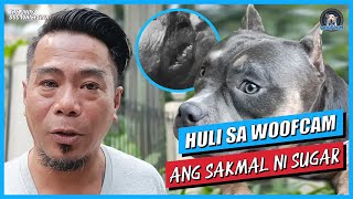 WOOFCAM: Ang Sakmal Ni Sugar