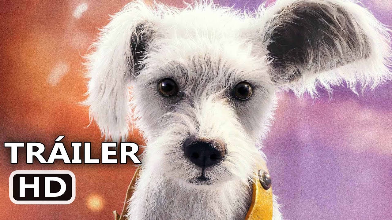 SUPERGIRL "Crypto" Tráiler Español Doblado (2026)