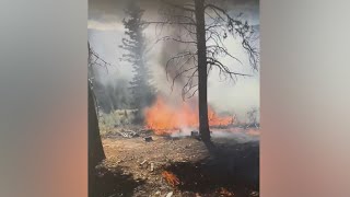 Abandoned campfire sparks fire in national forest
