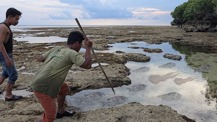 Hari Ke.1 TIBA DI PULAU TERPENCIL langsung cari Ikan buat makan malam - Camp Fishing