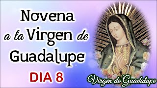 Octavo día de la Novena a la Virgen de Guadalupe, Domingo 10 de Diciembre 2023 🌷Virgen de Guadalupe