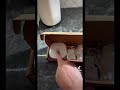Never Leave Your Garage Door Open Again With The 30 MYQ Garage Controller Never Leave Your Garage Door Open Again With The 30 MYQ Garage Controller