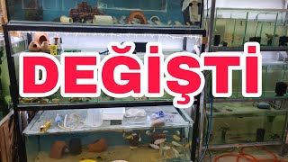 Baliklarin Yeri̇ni̇ Deği̇şti̇rdi̇m