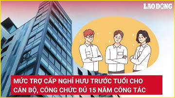 Mức trợ cấp nghỉ hưu trước tuổi cho cán bộ, công chức đủ 15 năm công tác | Báo Lao Động