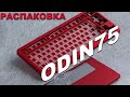 НОВЫЙ КАСТОМ // Распаковка KBDFans Odin75