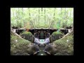 Relaxation Détente Nature Relaxing music love unifié, l âme et l esprits