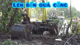 Xe Cuốc KOBELCO SK60-1 lên bến ban nền quá đẹp by Thái Dương TV 4,502 views 5 months ago 14 minutes, 32 seconds