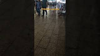 Hang Out With A Dog At Walk Street