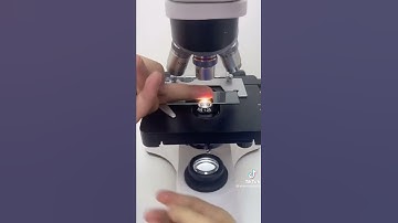 Thumbnail of fingers under the microscope