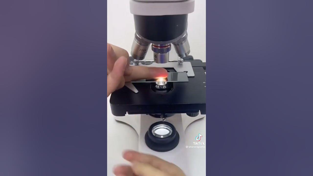 fingers under the microscope