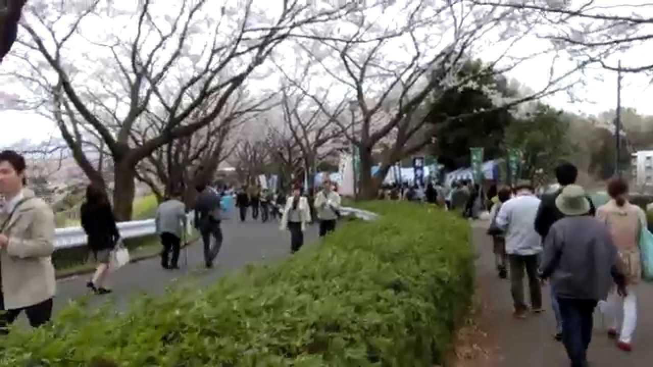町田さくらまつり 21年 祭の日