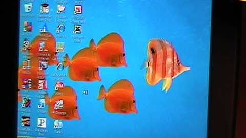 PC Services Tech Tip   Windows XP Disk Maintenance