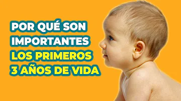 ¿Por qué los 3 primeros años son importantes para el desarrollo del niño?