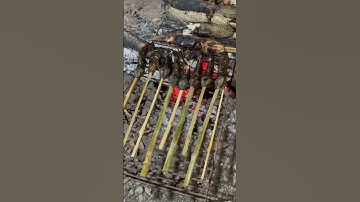 cá lóc cá trê nướng than hoa #nest #الثامن #animals #birds