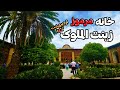          2023    خانه زینت الملوک 1402