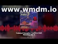 Catalyst Samples Lo-Fi Chill Melodies Vol 3 Sample Pack Ambient