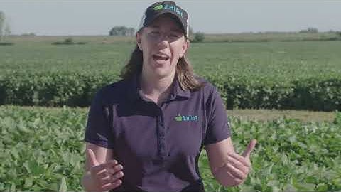 A Better Way Ahead: the Story of the Enlist™ Weed Control System