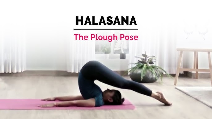 Halasana | Plow Yoga Pose | Steps | Benefits | Yogic Fitness - YouTube