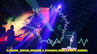 DJ DAME - SOLWARA MERI X SEXUAL HEALING X PARTY ANIMAL