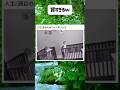 賢すぎるw #shorts #おもしろ