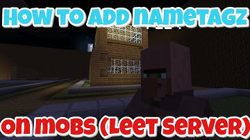 How to add nametags on mobs (Mcpe Leet server)