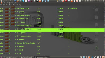 Staying Safe: List Active Connections to & from your Linux Mint