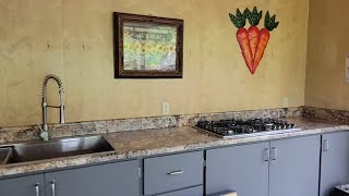 FUTURE Plans for the OUTDOOR Canning KITCHEN by Deep South Homestead 9,560 views 4 weeks ago 11 minutes, 42 seconds